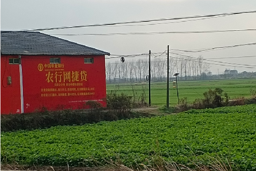 醴陵如何防止墙体广告褪色呢？