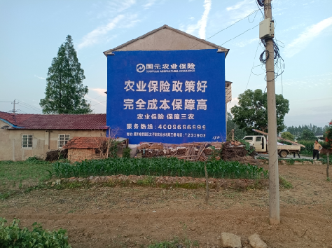 醴陵墙体广告为何受追捧？