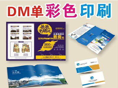 醴陵单页印刷，色彩搭配简单。